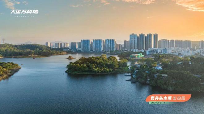 月湾湖东岸最新动态，湖畔温馨日常揭秘